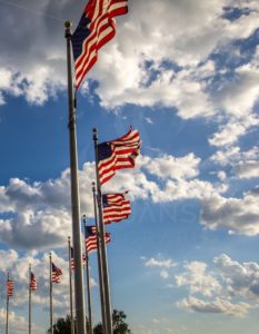 US Flags (Portrait) - Steve Jansen Photography